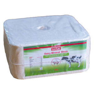Dairy Mineral Block