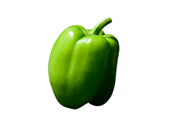 Sidai Capsicum Carlifornia Wonder