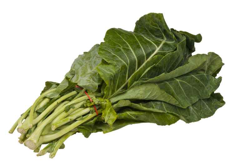 Collard Seeds – Southern Georgia