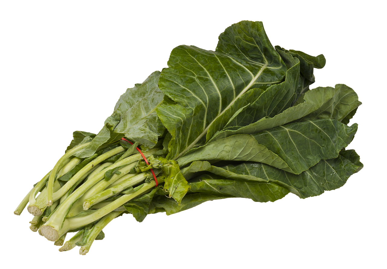 Collard Seeds – Southern Georgia