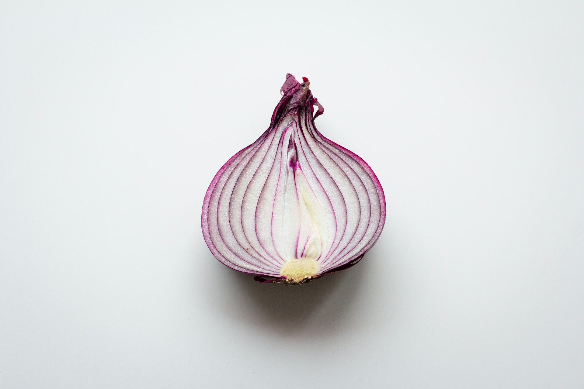 Onion Seeds – Red Creole