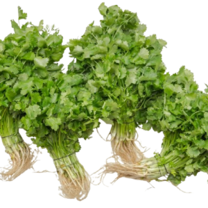 Coriander Seeds – Daima