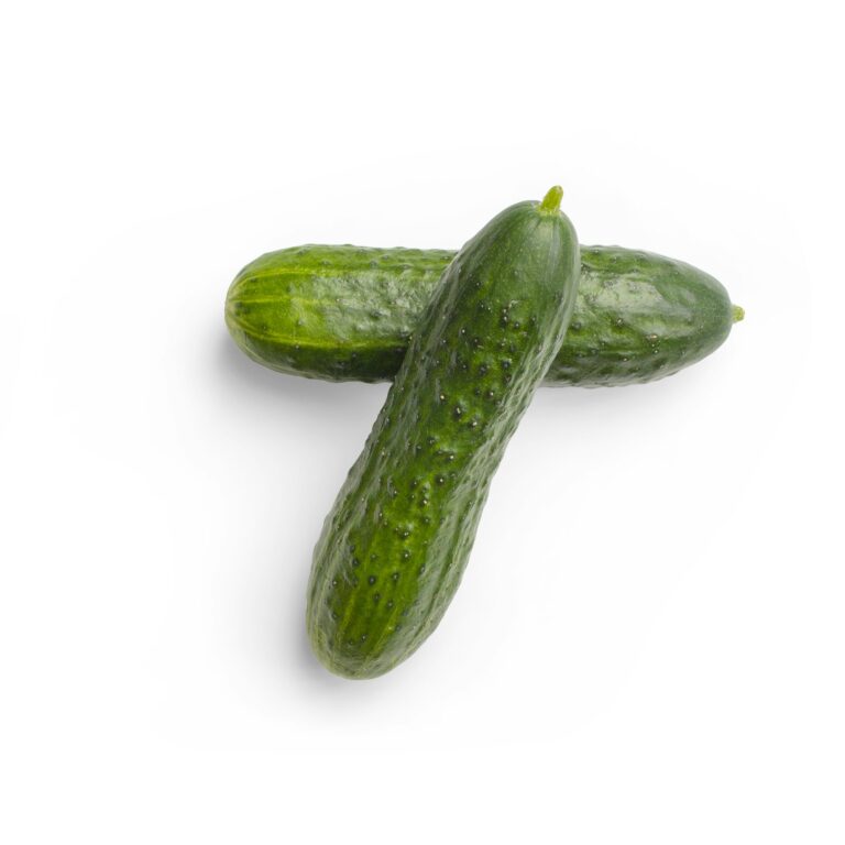 Cucumber Seeds – Ashley