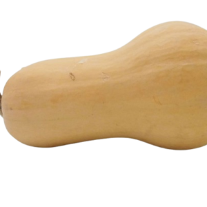 Butternut Squash Seeds