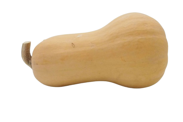 Butternut Squash Seeds